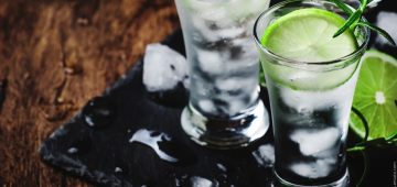 5 Dinge auf die Sie beim Gin testen und schmecken achten sollten